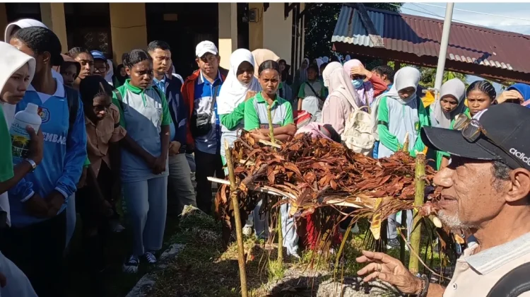 SMA Negeri 2 Fakfak Kembangkan Kebun Pala Grafting Sekolah