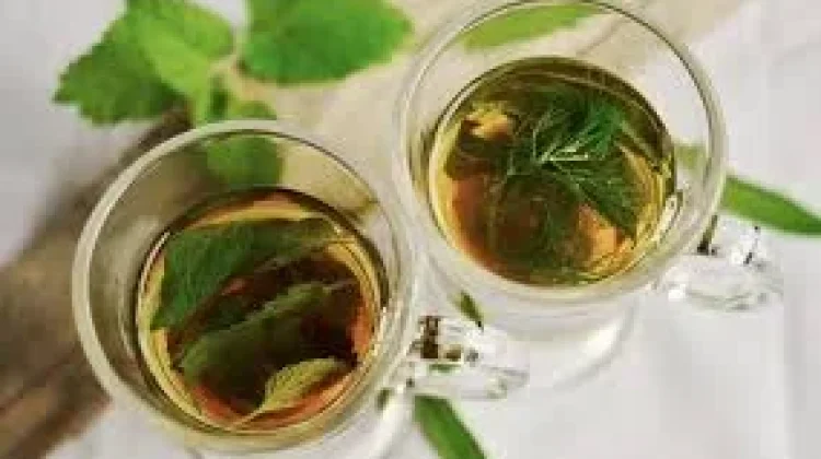 Manfaat Minuman Herbal untuk Kesehatan