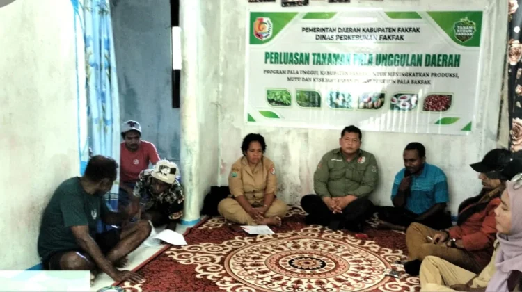 Pemkab Fakfak Perkuat Hilirisasi lewat Perluasan Arel Tanam Pala Tomandin