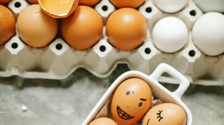 Kandungan Putih Telur dan Kuning Telur Mana yang Lebih Sehat