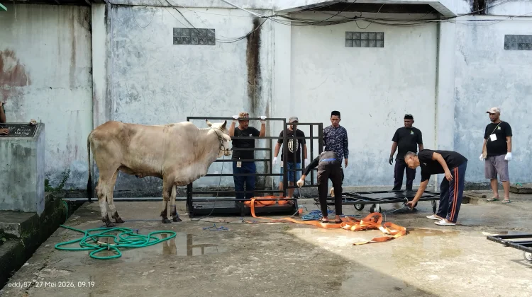Masjid Al-Munawarah Fakfak Terima Sepuluh Ekor Hewan Kurban