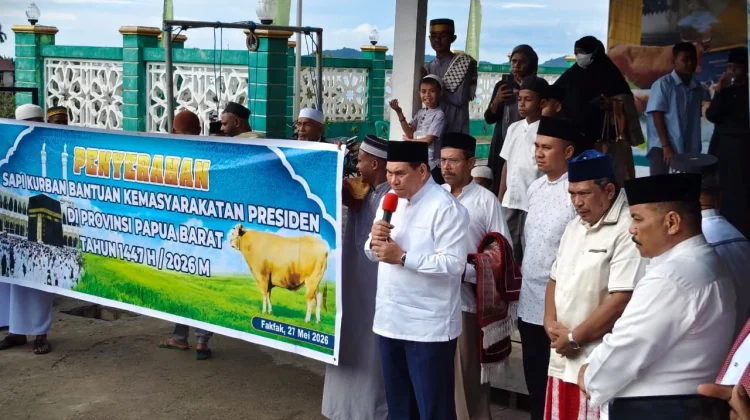 Bupati Fakfak Serahkan Sapi Kurban Bantuan Presiden Indonesia