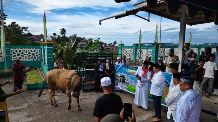 Ketua Masjid Agung Terima Sapi Kurban Presiden Indonesia