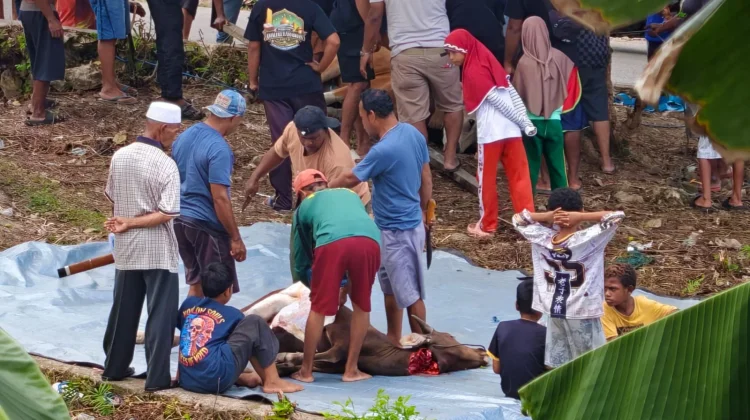 Penyembelihan Hewan Kurban Hari ke Dua Masjid Agung