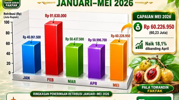 Perdagangan Pala Fakfak Meningkat, Retribusi Mei Naik 18 Persen