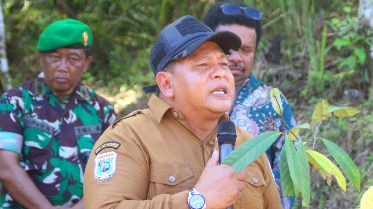 Pala Tomandin Bukan Sekadar Komoditas, tapi Identitas Kabupaten Fakfak