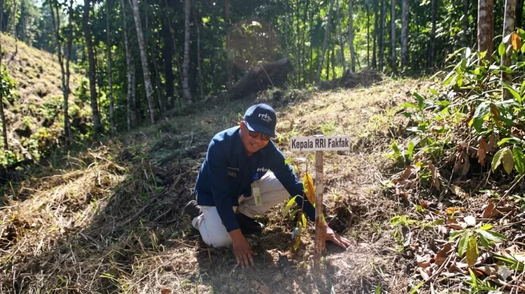 Tanam Pala Bersama Pangdam, Kepala RRI Fakfak Harap Pala Makin Mendunia