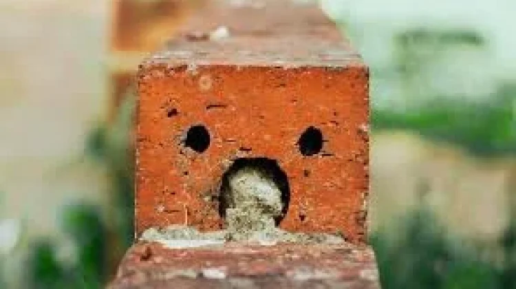 Pareidolia: ketika Otak Melihat Pola yang Sebenarnya Tidak Ada