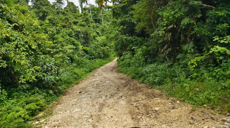 Distrik Fakfak Timur Harapkan Perbaikan Jalan Sanggram Tunasgain