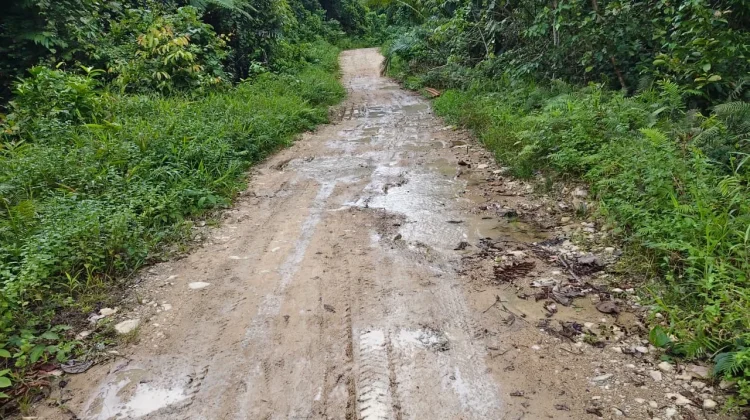 Akses Darat Rusak Parah, Warga Fakfak Timur Menjerit
