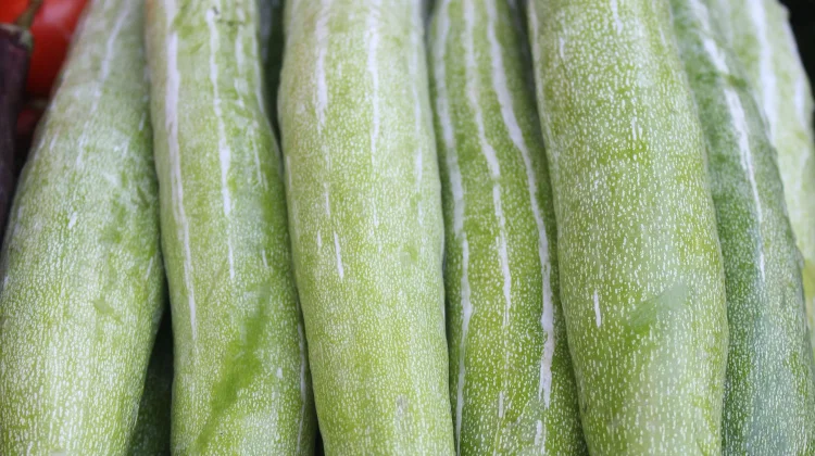 Tujuh Manfaat yang Dikandung Sayur Petola untuk Kesehatan