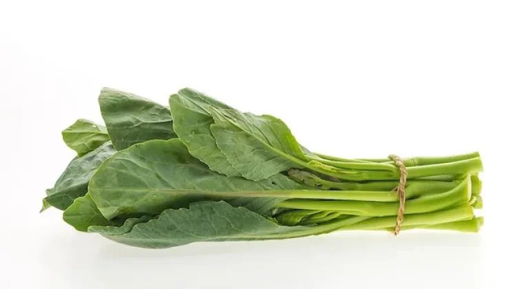 Sepuluh Manfaat Sayur Kailan yang Jarang Diketahui