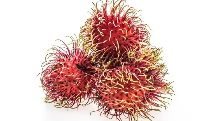 Rambutan Buah Kaya Manfaat dan Kandungan Bagi Kesehatan