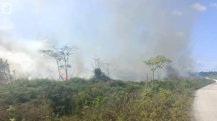 Babinsa dan Warga Berupaya Padamkan Kebakaran Lahan Bomberay Fakfak