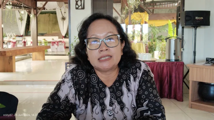 Dinkes Fakfak Validasi Data Program Penyakit Tidak Menular Tahun 2026