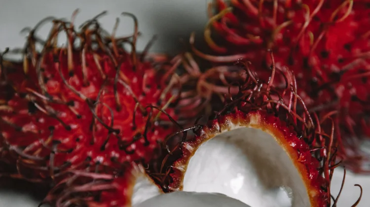 Tips Memanfaatkan Biji Rambutan untuk Membantu Menurunkan Gula Darah