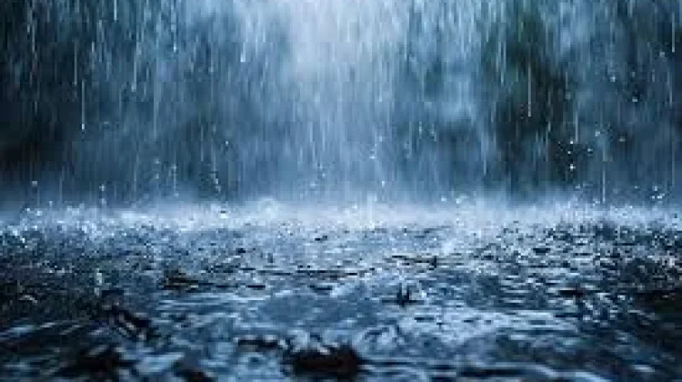 ketika Hujan dan Lagu Bertemu, Melodi yang Menghidupkan Suasana dan Kenangan