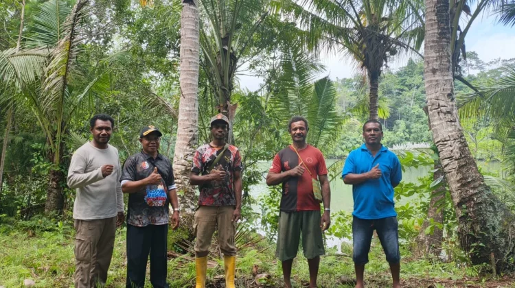 Pendataan CPCL Peremajaan Kelapa Dimulai, Pemkab Fakfak Targetkan 75 Hektare