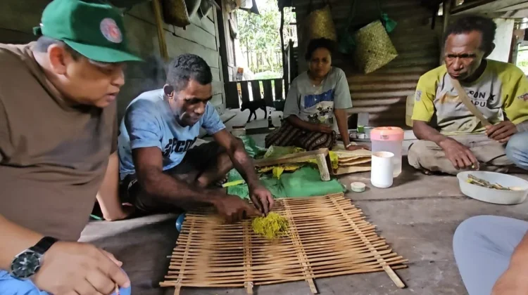 Pemkab Fakfak Perkuat Pelestarian Tembakau Negeri sebagai Warisan Leluhur