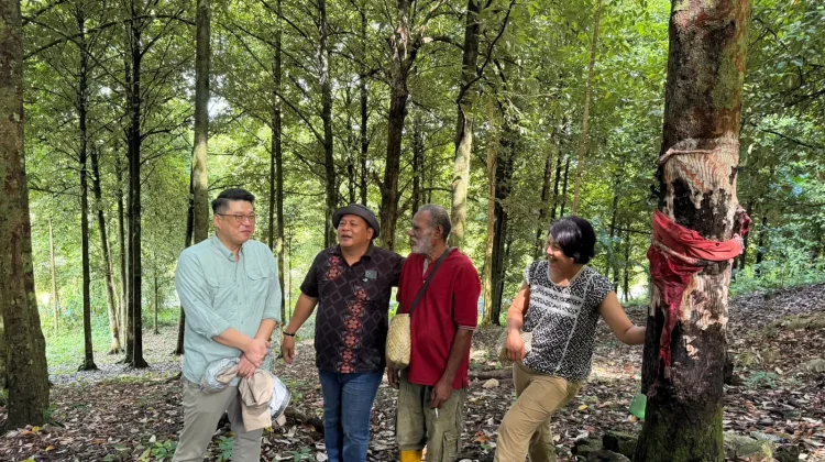 Hilirisasi Pala Tomandin Fakfak Menarik Minat Pelaku Usaha Nasional