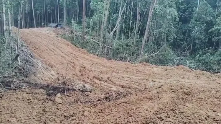 Pembangunan Akses Jalan Bandara Siboru Fakfak Tunjukkan Progres Menggembirakan