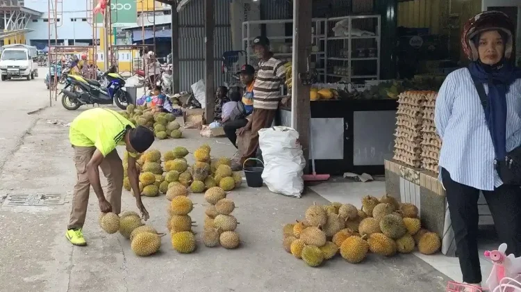 Pedagang Musiman Raup Keuntungan saat Musim Durian Tiba