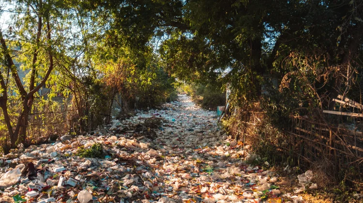 Plastik Sekali Pakai, Ancaman Nyata bagi Masa Depan Bumi dan Generasi Mendatang