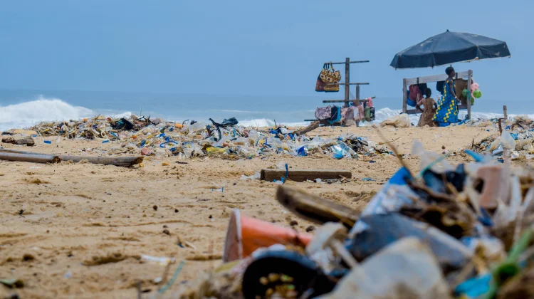 Dampak Buruk Sampah terhadap Lingkungan, Kesehatan, dan Masa Depan