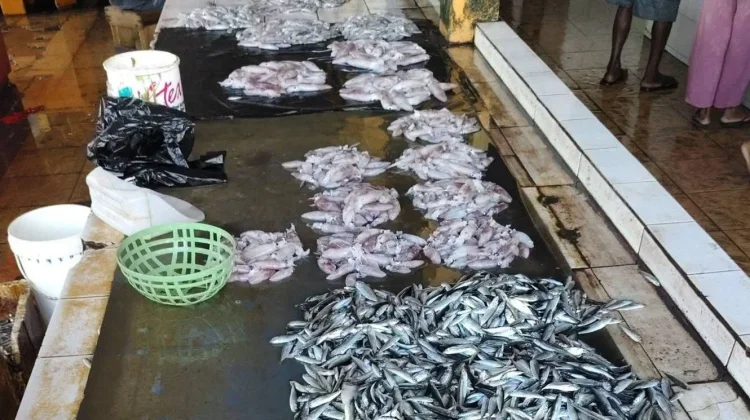Pasokan Berkurang Harga Ikan Pasar Dulan Pokpok Fakfak Melonjak