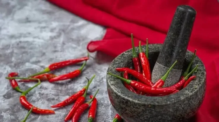 Cara Menjaga Kebersihan Cobek agar Awet dan Higienis