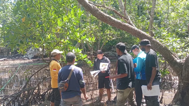 DKP Fakfak Lakukan Identifikasi Mangrove, Dukung Konservasi Ekosistem Pesisir