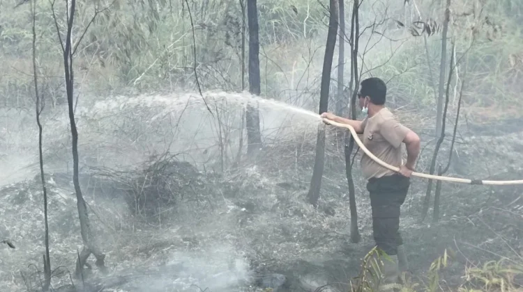 Polsek Bomberay Bergerak Cepat Tangani Karhutla, Prioritas Keselamatan Warga