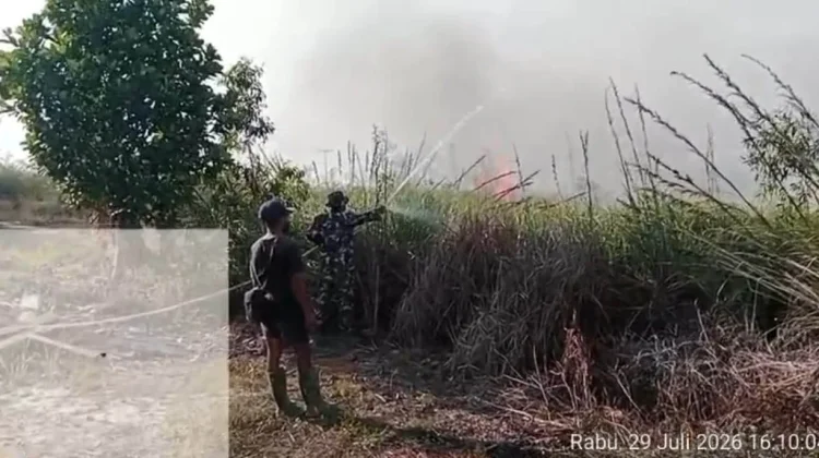 Babinsa Bersama Warga Padamkan Kebakaran Lahan Gambut di Kampung Wammar