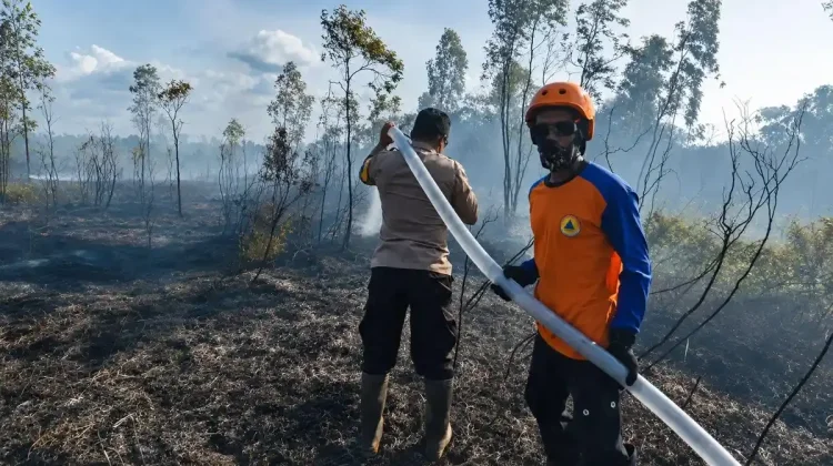 BPBD Fakfak Imbau Warga Cegah Kebakaran Hutan dan Lahan sejak Dini