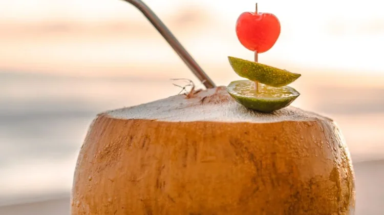 Rahasia di Balik Kesegaran Air Kelapa: Minuman Alami Kaya Nutrisi untuk Tubuh Sehat