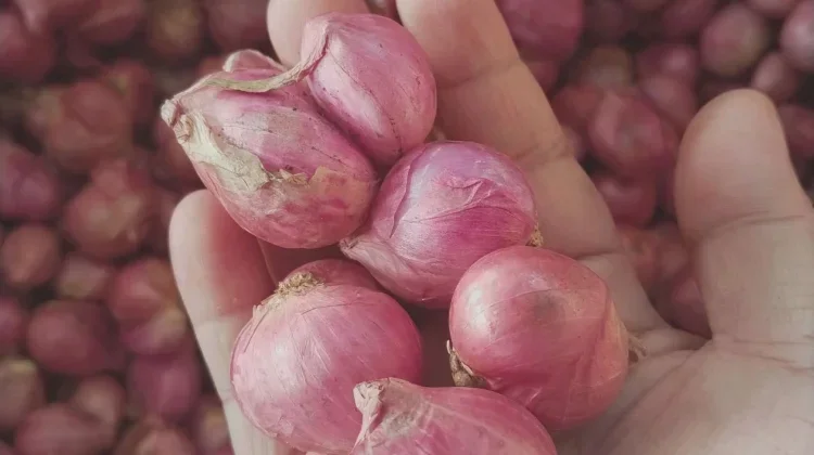 Bawang Merah Disebut Berpotensi Membantu Menjaga Kesehatan Rambut
