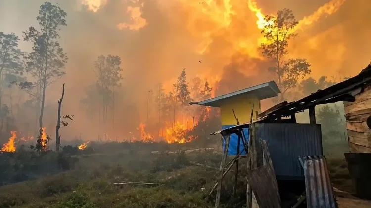 BPBD Fakfak Perketat Pemantauan Karhutla di Bomberai dan Tomage