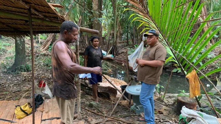 Potensi Sagu Kayauni Mulai Didorong untuk Perkuat Ketahanan Pangan