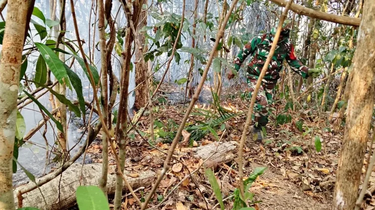 Babinsa Karas Padamkan Kebakaran Lahan di Kampung Malakuli