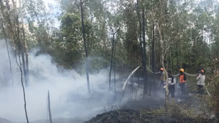 Personel Gabungan Padamkan Karhutla di Bomberai, Api Sulit Dikendalikan
