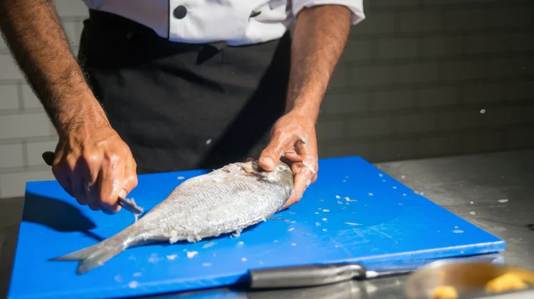 Cara Membersihkan Sisik Ikan dengan Mudah, Cepat, dan Praktis