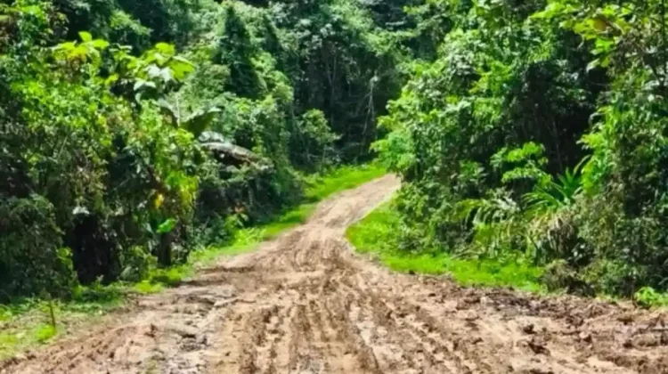 Akses Sanggram-Weri Berlumpur, Mobilitas Warga Fakfak Terhambat