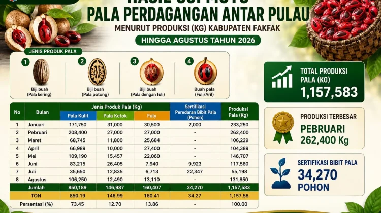 Dari Kebun hingga Antarpulau, Pala Fakfak Terus Gerakkan Ekonomi Daerah