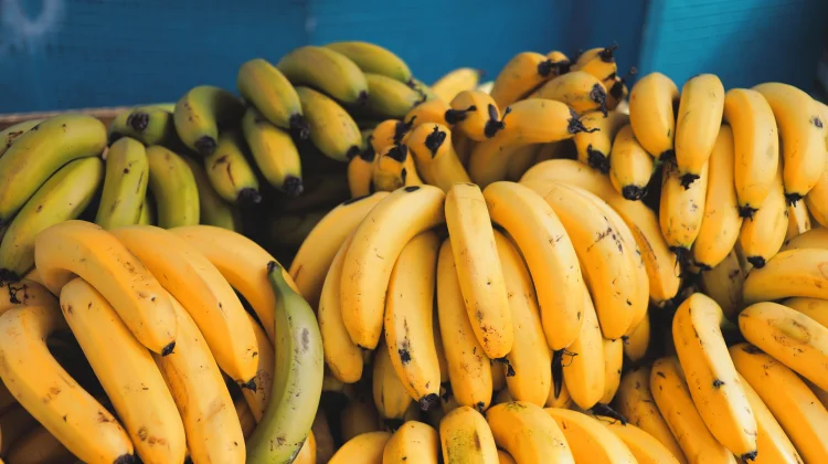 Kenali 10 Manfaat Buah yang Mengandun Vitamin D