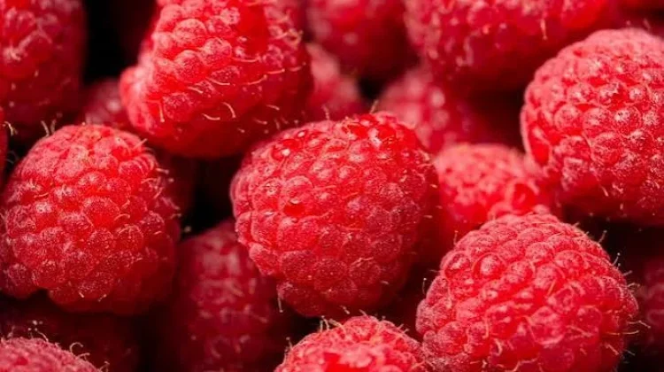 Raspberry, Buah Berwarna Merah yang Kaya Manfaat