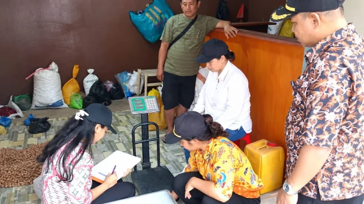 Timbangan Pembelian Pala Tomandin Diperiksa, Transparansi Transaksi Diperkuat