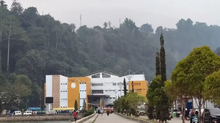 Asap Karhutla Diduga Pengaruhi Kualitas Udara Kota Fakfak