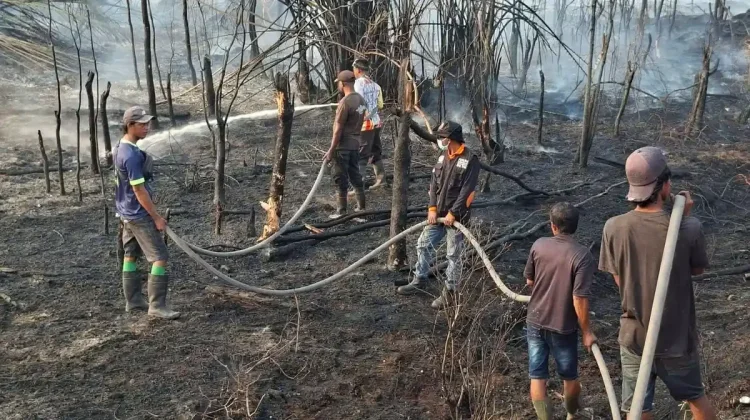 Petugas BPBD Fakfak Terus Berjibaku Tangani Karhutla