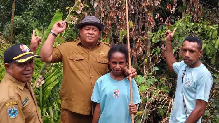 Kekeringan Ancam Tanaman Pala, Pemkab Fakfak Siapkan Strategi Pemulihan