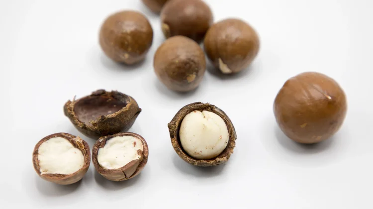 Fakta Unik Kacang Macadamia, Si Kacang Premium dari Australia
